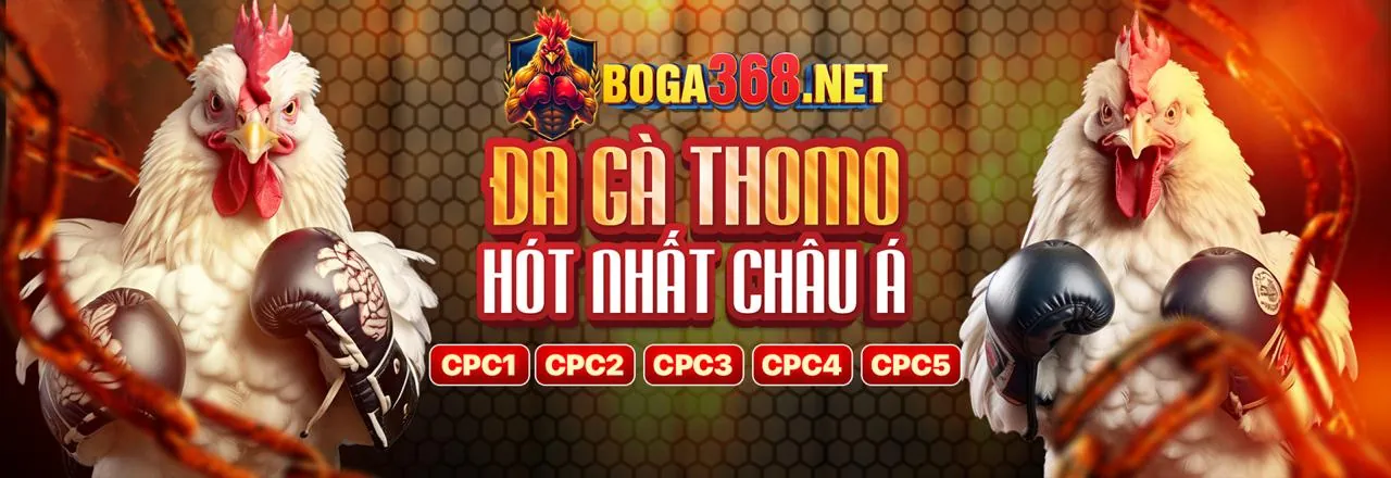 Sân đấu đá gà trực tuyến 88cbl kịch tính